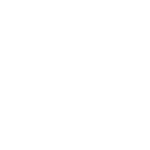 de vivo